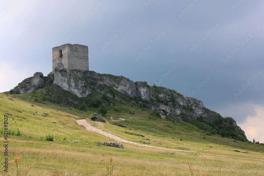 Ruiny starego zamku średniowiecznego z wieżą.  - obrazy, fototapety, plakaty 