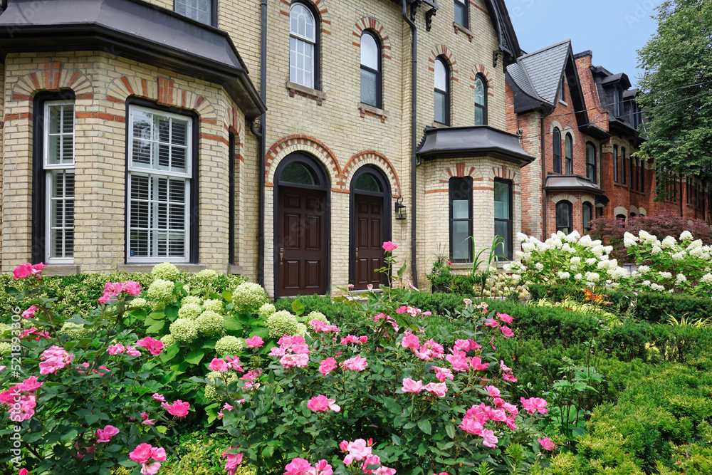 Well preserved Victorian row houses with beautiful flowers in front garden