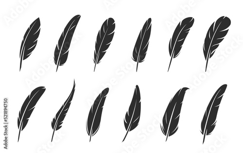 Quill feather icons. Vector silhouettes of black bird plume with curved barb. Vintage ink pen, calligraphy writing tool or fluffy quill feather isolated signs, literature, education and poetry themes
