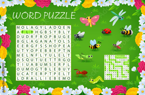 Word search puzzle game. Cartoon insect characters on summer meadow vector word game, kids educational worksheet with cute ladybug, butterfly, bee, fly and grasshopper, dragonfly, ant, mosquito