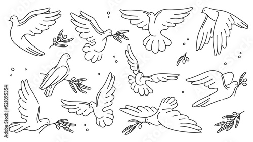 White peace dove and pigeon bird silhouettes. Vector doves with olive branches and leaves thin line symbols of hope, freedom, religion or faith. Outline pigeon birds flying with spread wings, feathers