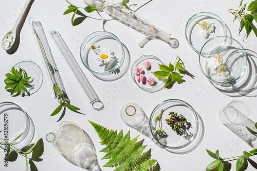 Natural medicine, cosmetic research, bio science, organic skin care products. Petri dish on white background. Top view, flat lay. Concept skincare. Dermatology.