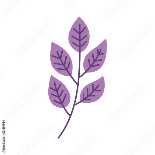 branch with purple leafs