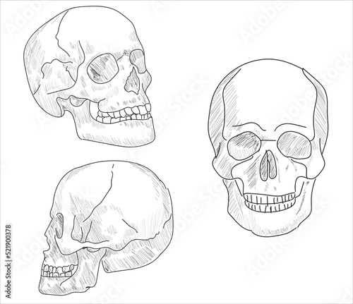 Human joints and body parts bone icons sketch