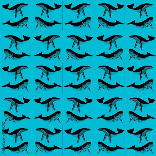 Illustration of blue whale pattern