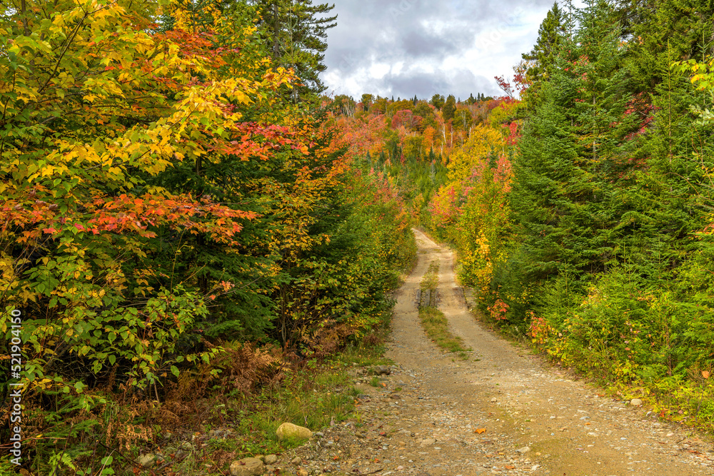 Autumn Country Road - Sunlight shining through storm clouds onto a narrow winding mountain road in a dense forest on a colorful Autumn day. West Maine, USA. Autumn Country Road - Sunlight shining through storm clouds onto a narrow winding mountain road in a dense forest on a colorful Autumn day. West Maine, USA.