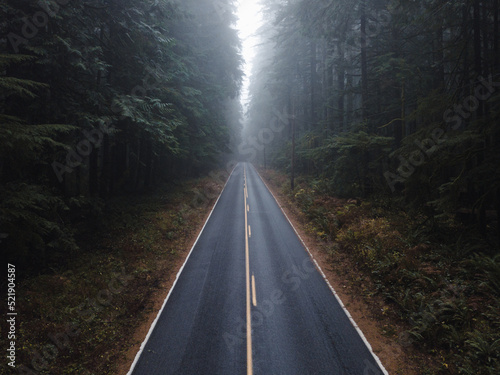 road in the forest