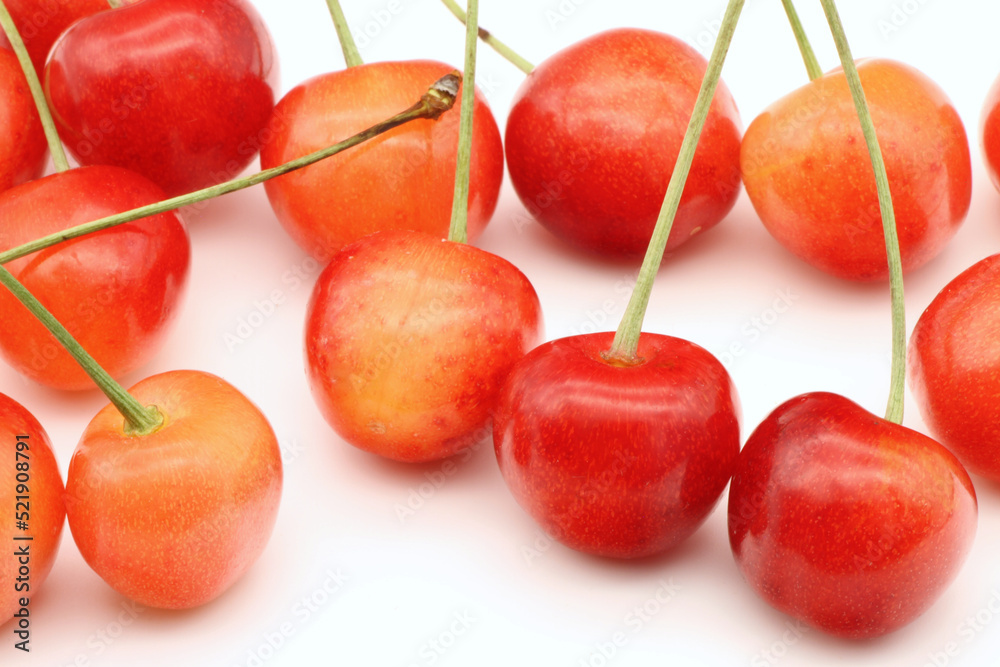 白背景のたくさんのサクランボ
