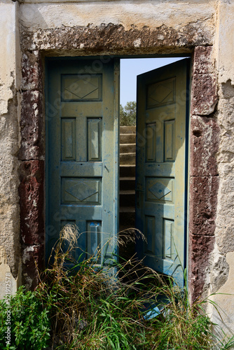 Stairs visible through partially open overgrown doorway