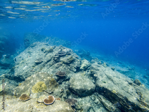 Beautiful underwater view at Lang Tengah Island, Malaysia