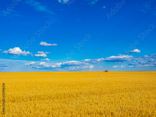 Harvesting barley on the Canadian prairies photo
