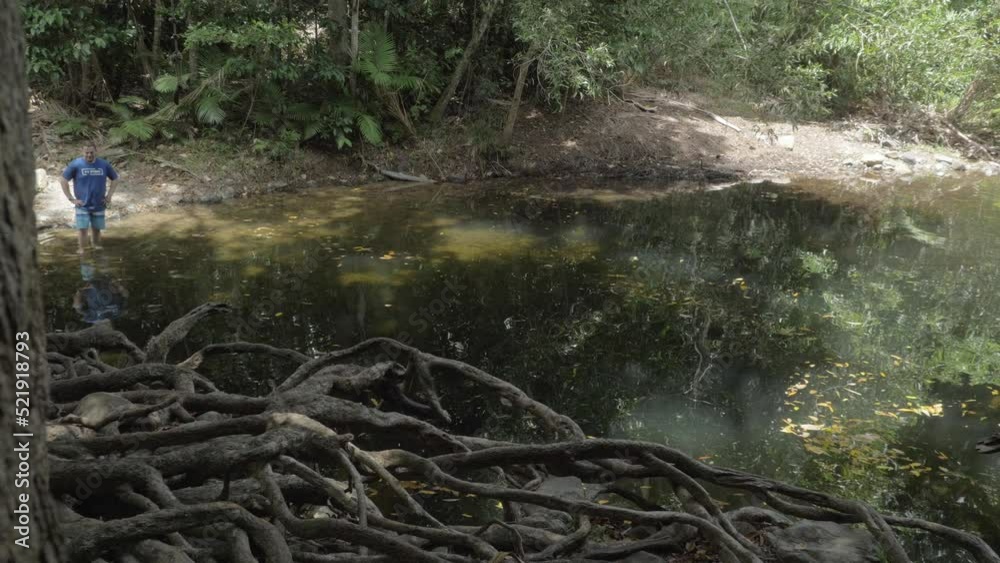 Old Tree Trunk Revealed A Man Standing In The Swimming Hole Of Emmagen Creek In Cape Tribulation, Queensland, Australia. Sideways Shot Old Tree Trunk Revealed A Man Standing In The Swimming Hole Of Emmagen Creek In Cape Tribulation, Queensland, Australia. Sideways Shot