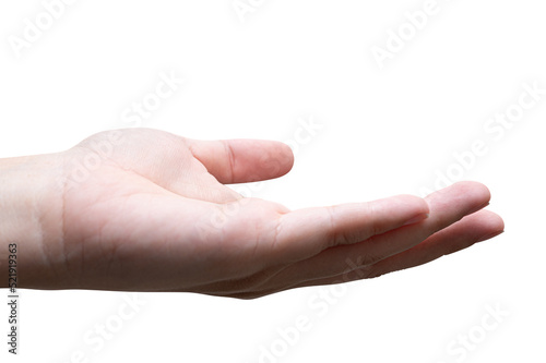 Women hand reach and ready to help or receive. Gesture isolated.