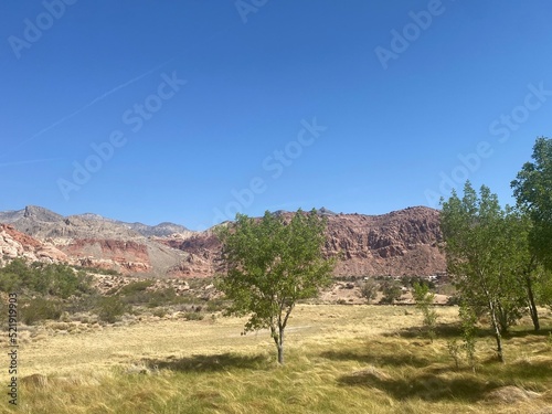 grand canyon state country nature dessert