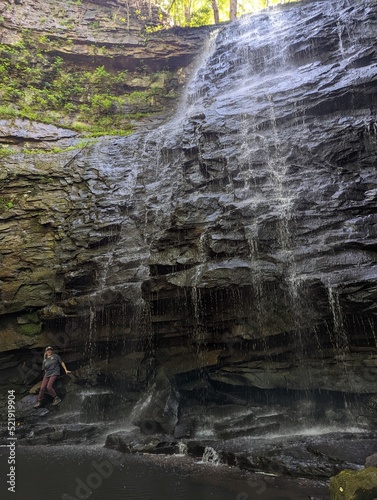 waterfall in the forest