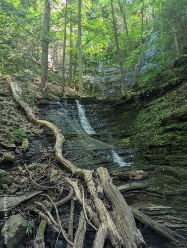 Person hiking in the woods colorado