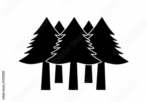 pine forest icon isolated on white background photo