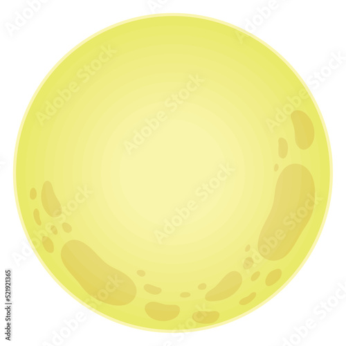 yellow moon autumn