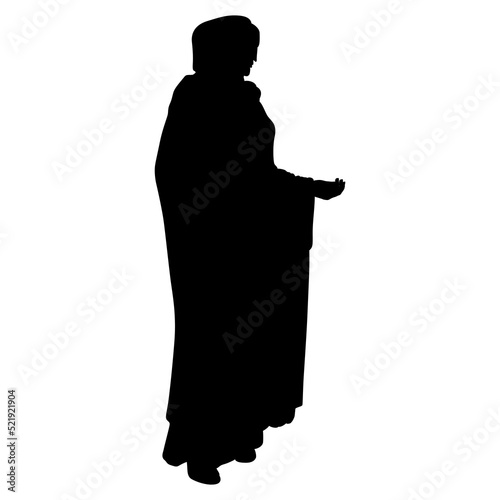 Female silhouette. Aphrodite Sosandra. Ancient Greek sculpture. Standing veiled goddess or woman wearing long cloak. 