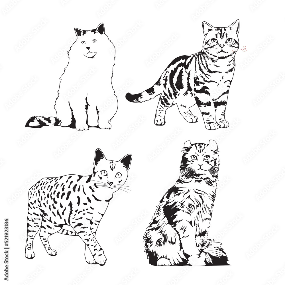 Naklejka premium Adorable kittens of various breeds