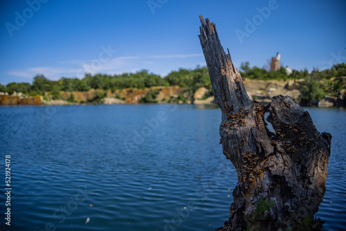 Broken Sharp Tree Trunk In A Lake With Cliffs In The Background Under Clear Blue Sky, 