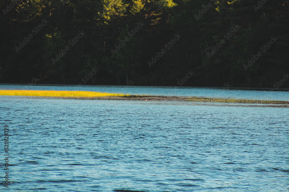 Calm Water Calm Water