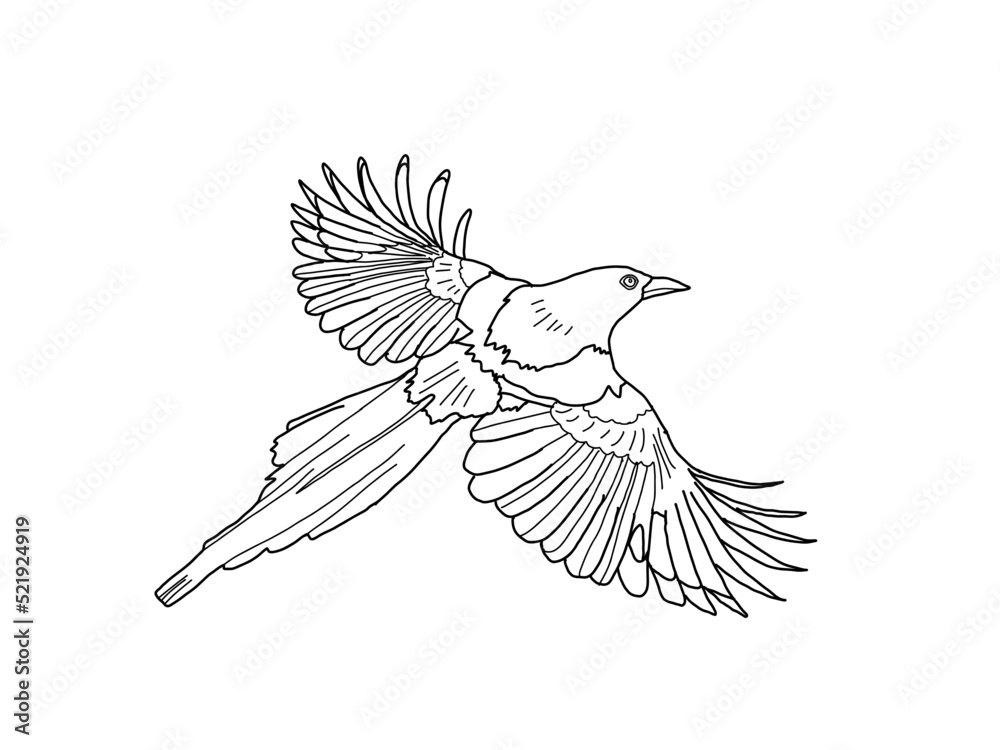 Naklejka premium カササギ 県鳥(佐賀県)モノクロ