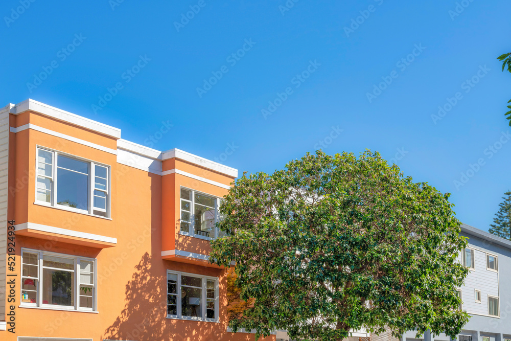 Tree at the front of two residential building with painted wall exterior in San Francisco, CA