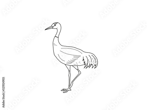 ナベヅル 県鳥（山口県）モノクロ