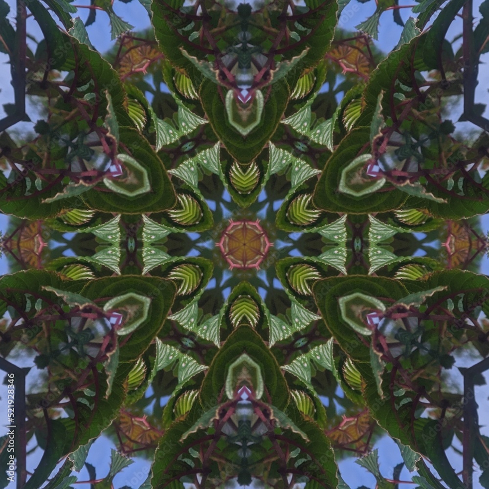 Fototapeta premium Green and red flowers background