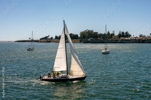 sailing in the bay