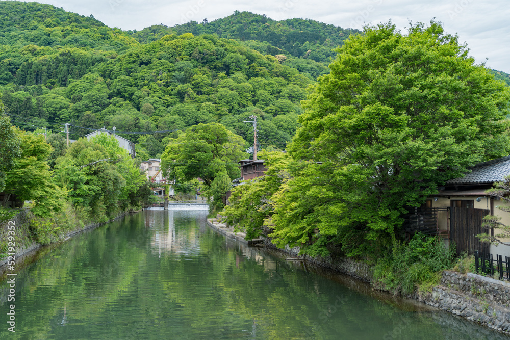 京都嵐山・夏の風景