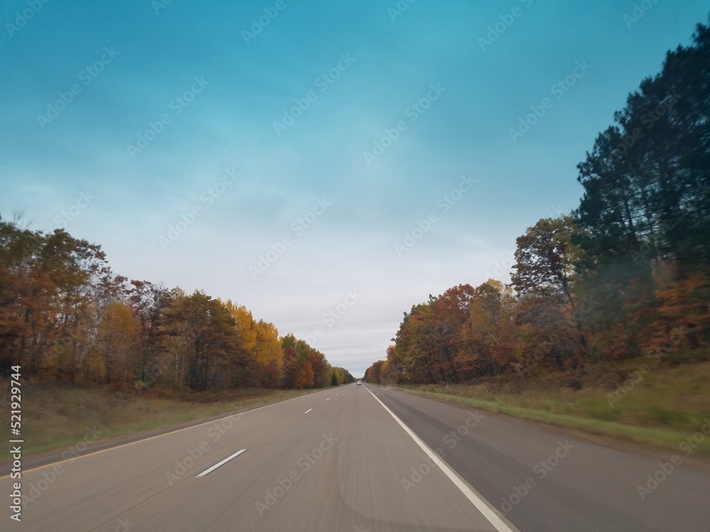 road in autumn forest