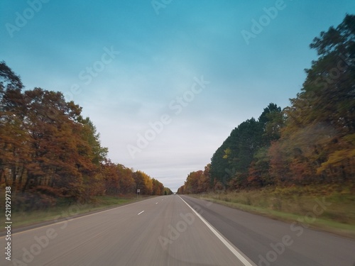 Road in Autumn Forest © Michael
