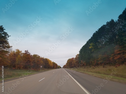Road in Autumn Forest © Michael