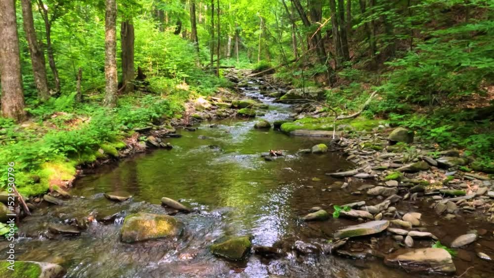 Beautiful, woodland stream in the dense, lush, green Appalachian mountain forest during summer
Beautiful, woodland stream in the dense, lush, green Appalachian mountain forest during summer
