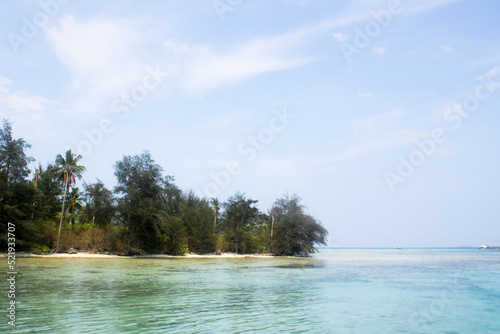 tropical island in the sea © eko