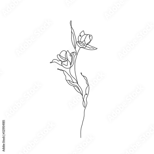 Flower Vector Hand Drawn Line Art Drawing. Floral Minimalist Trendy Contemporary Drawing, Perfect for Wall Art, Prints, Social Media, Posters, Invitations, Branding Design.