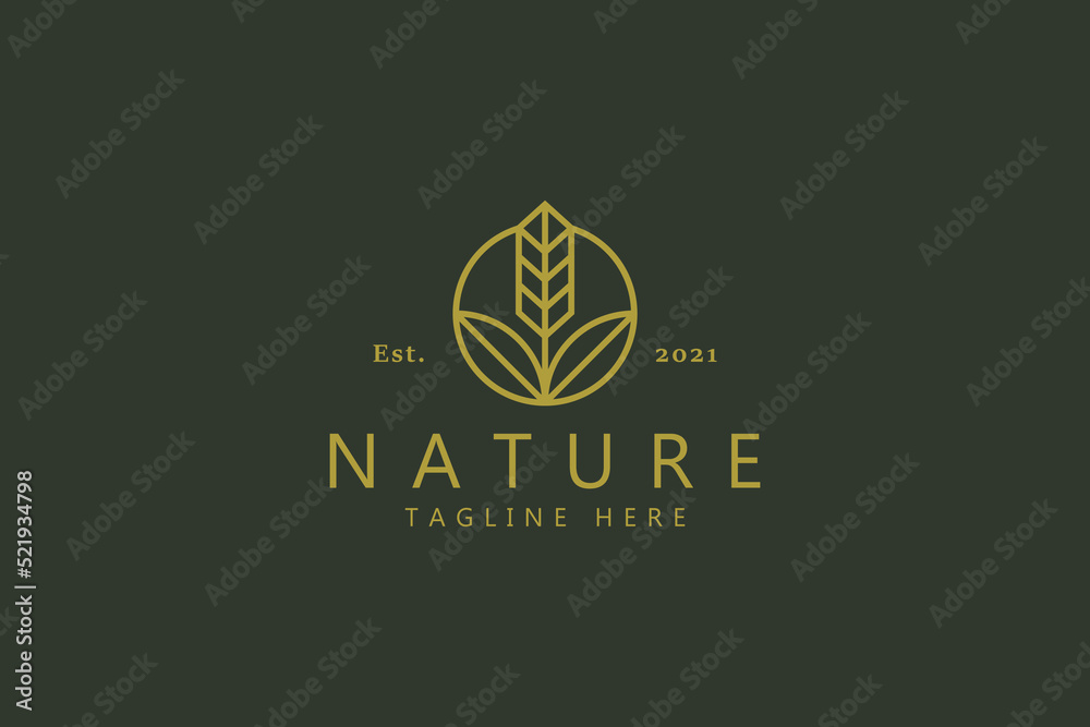 Grain Plant Simple Bakery Logo. Agricultural Nature Organic Concept. 