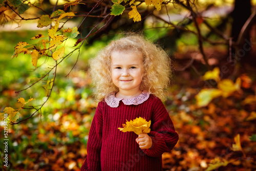A small smiling blonde curly-haired girl in a burgundy sweater in an autumn park with a bouquet of yellow leaves. A child in sunny park.