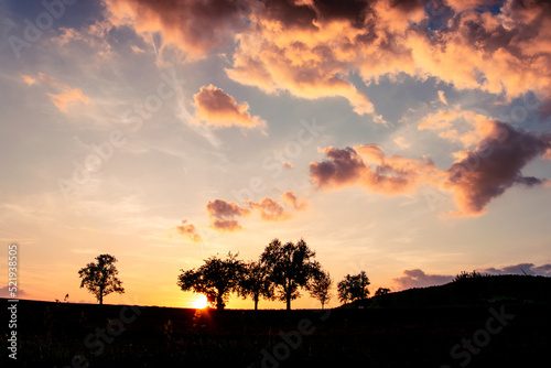 Sonnenuntergang in Österreich, als Silhouette von Bäumen
