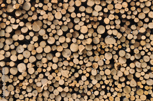 heap of wooden logs background