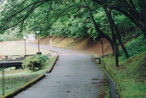 石川県七尾市の公園を散歩する風景 Scenery of a walk in a park in Nanao City, Ishikawa Prefecture © HelloUG