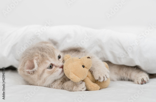Cute tiny kitten hugs favorite toy bear under white warm blanket on a bed at home