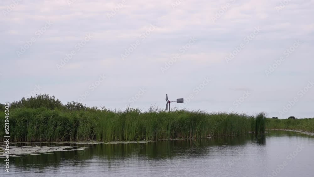 POV of a calm boatride through reeds and waterlillies, the Netherlands POV of a calm boatride through reeds and waterlillies, the Netherlands