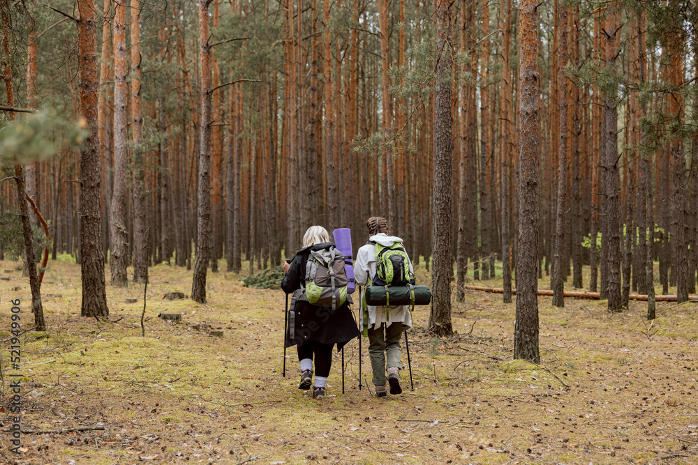 Mom and daughter walking in the woods. Elderly woman and young one have backpack, trecking poles hicking. Back view of women walking along wooden path. Mom and daughter walking in the woods. Elderly woman and young one have backpack, trecking poles hicking. Back view of women walking along wooden path.