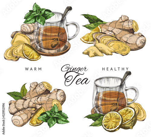 Ginger tea with lemon, honey, mint and chamomile - color vector sketch label