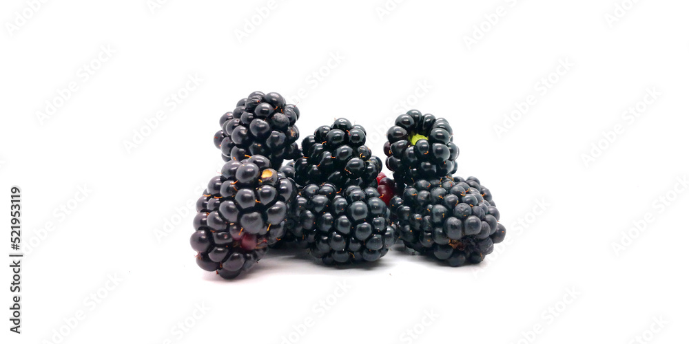 Blackberries - blackberries and blackberry leaves on a white background Blackberries - blackberries and blackberry leaves on a white background