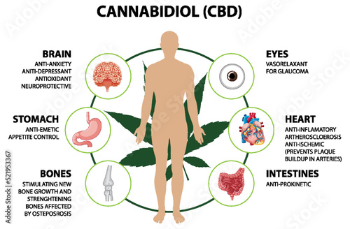 Benefits of CBD for physical health diagram
