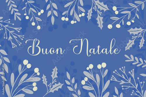 Buon Natale - Merry Christmas in Italian, greeting card, template, banner. Winter navy blue frame with frozen holly berry, mistletoe plant, Christmas greenery silhouette. Festive holiday vector design
